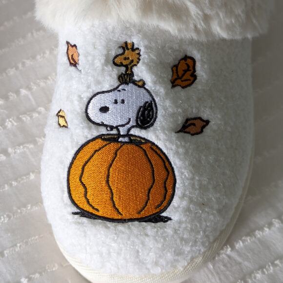 2024 American Eagle Peanuts Snoopy Woodstock Fall Slippers size 8 - Picture 4 of 6
